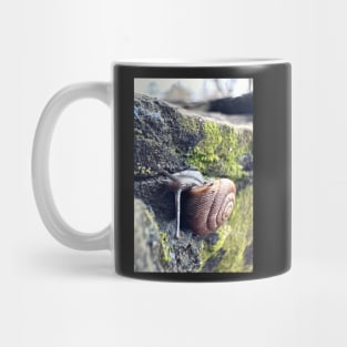 Garden Snail Mug